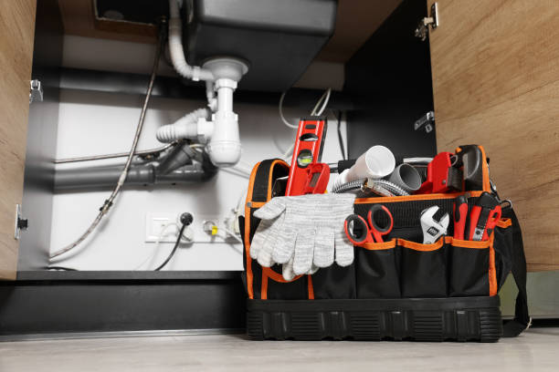 Best Same-Day Plumbing Service  in , AK